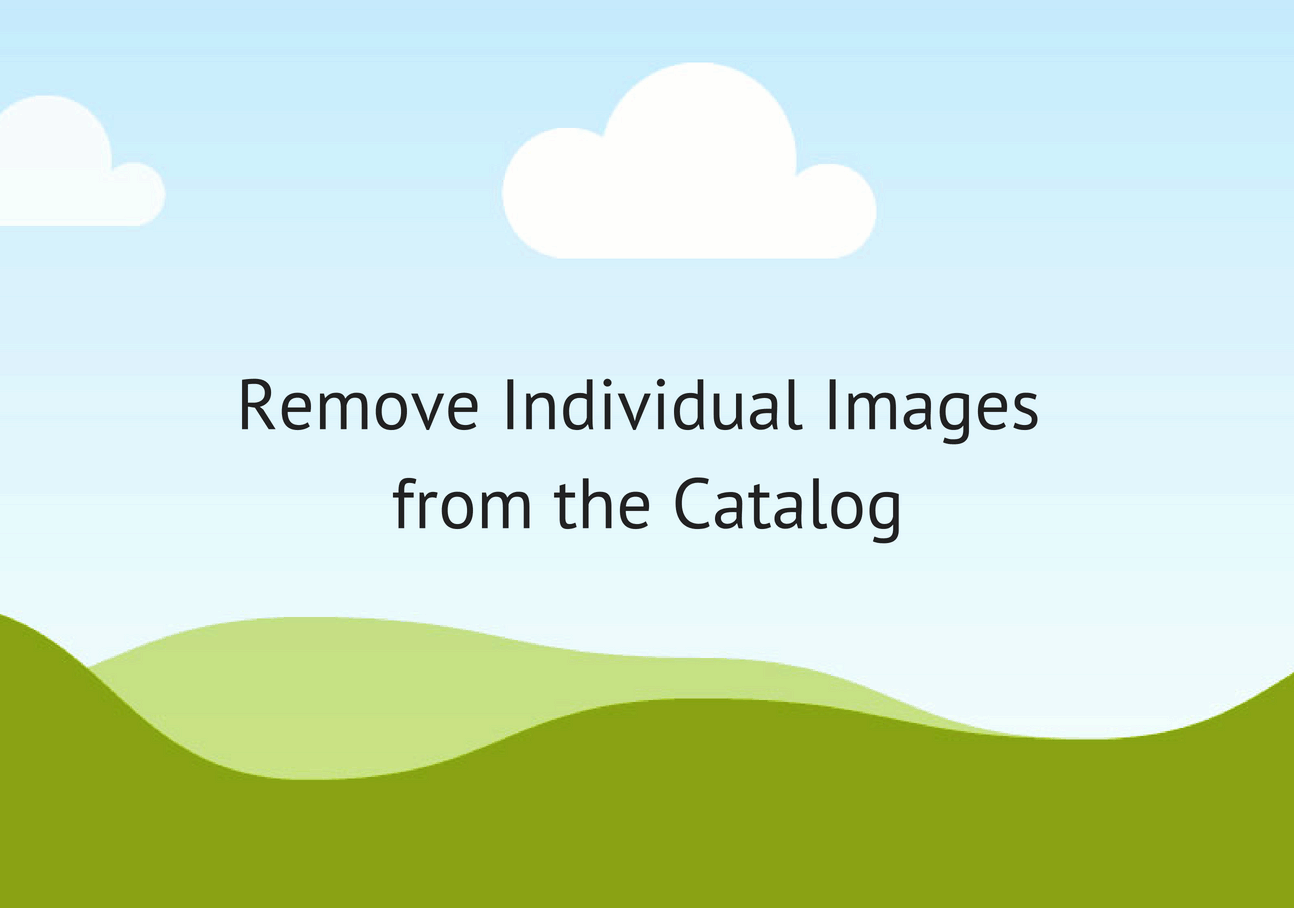 remove_images.gif